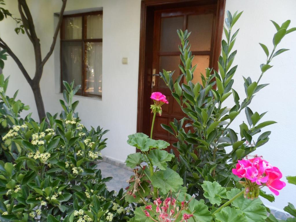Çıralı Engin Pension الغرفة الصورة